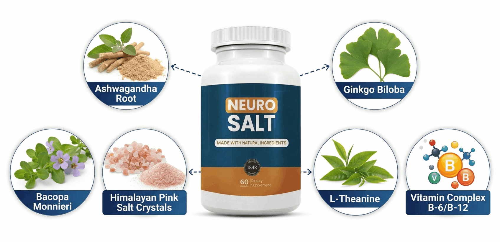 NeuroSalt -Ingredients